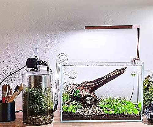 Allcolor Artisan Grade Ultra Clear Rimless Aquarium Tank, Low Iron Glass Fish Tank for Professional Aquascaping and Planted Layouts, 6-60 Gallons (10GaI - Top Glass Canopy) - size: 10Gal 18.8"L×11"W×11.8"H
