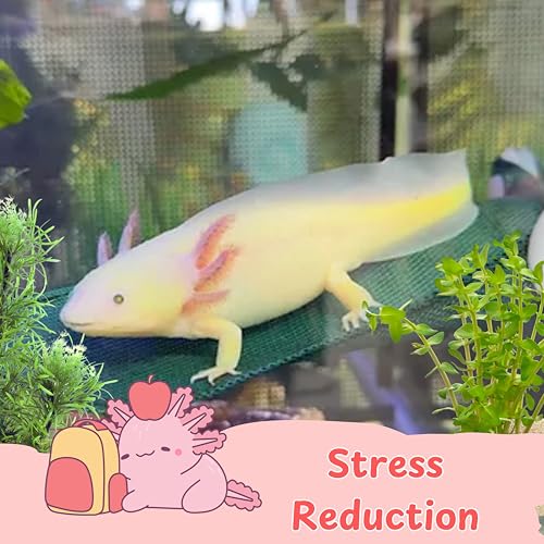 Axolotl Hammock with Feeder Dish – Mesh Resting Spot for Aquariums, Suction-Cup Mount, Easy-Clean Tank Accessories & Decor for Axolotl Habitats (Green, S) - color: Green