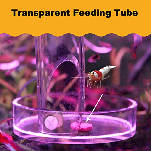 1PCS 200MM Aquarium Feeding Tube Fish Feeder Tube Clear Glass Shrimp Feeder with Glass Dish for Fish Tank Aquarium