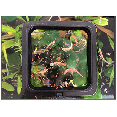 E-outstanding 2pcs Fish Feeding Ring Tropical Fish Food Ring Aquarium Fish Tank Accessories Water Plant Buoyancy Suction Cup (1 x Round Shape and 1 x Square Shape), Black