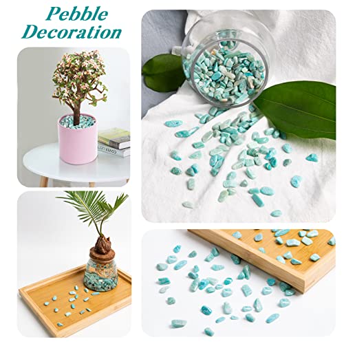 QICQDRAM Natural Green Amazonite Crystals Bulk 0.9 Lb/405g Small Tumbled Chips Crystal Stone Decorative Pebbles for Home Decoration & Fish Turtle Tank, Vase Filler, Plants Decor - color: Amazonite