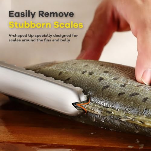 2PCS Fish Scaler, Thickened Stainless Steel Fish Scale Remover, Efficient Fish Scaler Remover No Mess, Sturdy Fish Descaler Tool with Non-Slip Handle, Fish Scaler Tool, Fish Scraper