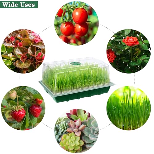 Hahood 6 Packs Seed Starter Tray Kits with Humidity Dome, Plastic Germination Growing Trays with Plants Labels Planting Tools for Seeds Growing Starting, Germination Seedling Propagation, Green - color: Green