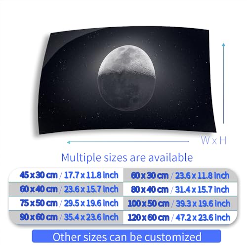 Aquarium Background Stickers - Moon, Space, Gray, Shadow Self-Adhesive Fish Tank Reptile Terrarium Decor Poster (45 x 30 cm / (17.7 x 11.8 inches)) - size: 45 x 30 cm / (17.7 x 11.8 inches)