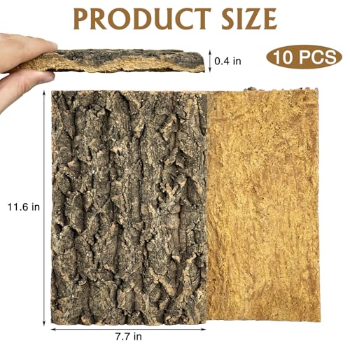 Fhiny 10 PCS Cork Bark Background, 11.6" x 7.7" Natural Cork Bark for Reptiles Bearded Dragon Climbing Backdrop Terrarium Habitat Wall Decor Accessories for Turtle Gecko Lizard Snake Spider Frog
