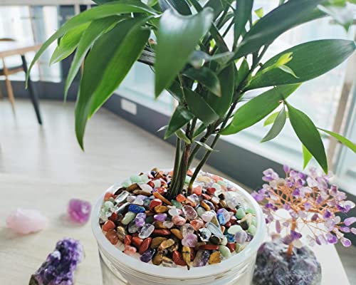 ZHIYUXI Chakra Crystal Vase Filler Crystal Chips Stone for Decoration Succulent Plants Vase Fish Tank Gravel Crushed Crystals Chips Gemstone Polished Healing Crystals Quartz Home Decor Gem Stones - color: B# Chakra, size: 0.22lbs