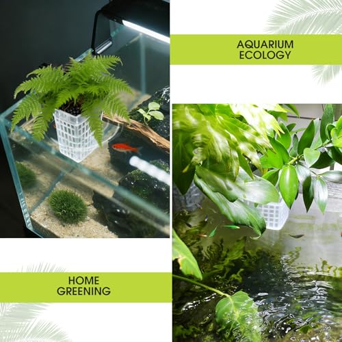 2 PCS Upgraded Aquarium Plant Holder, Adjustable Thickness Height Fish Tank Plant Holder with 2 Extension Hooks and 2 Suction Cups for Fish Tank Aquaponic (Transparent) - color: Transparent