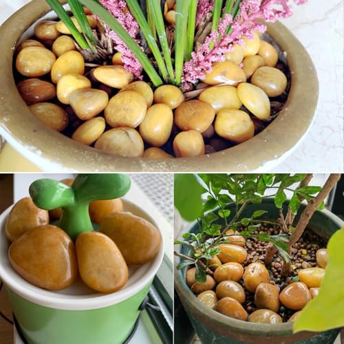 YISZM Rocks for Plant 5lbs, Yellow River Rocks 1-2 Inch Natural Pebbles for Indoor Plants, High Polished Decorative Stones Vase Filler Fish Tank Aquariums Landscaping Garden - color: Yellow, size: 5 Pounds