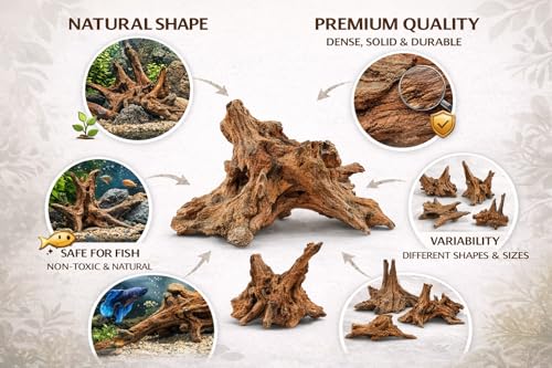 Azil Natural Driftwood 9''-12'' (2 Pieces) – Perfect Aquarium Decoration for Fish Tanks, Freshwater Aquariums, Terrariums, Aquascaping, Hardscaping, Aquatic Plants - size: driftwood 9'' - 12''
