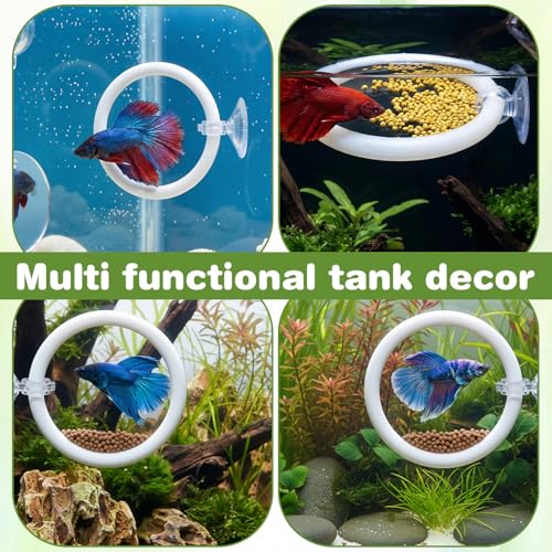 Molain Betta Fish Enrichment Toys, Betta Fish Tank Accessories 2 Training Rings 1 Mirror with Floating Ball Plastic Aquarium Enrichment Toys Set for Fishes Exercise Mental Stimulation