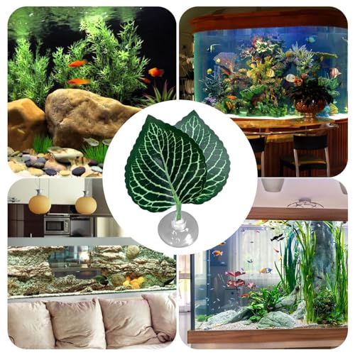 Betta Fish Bed - Betta Fish Leaf Hammock | Betta Resting | Comfortable Rest Area for Fish | Betta Hammock Plant Leaves | Breathing Breeding Pads Improve Betta's Health by The Natural Habitat