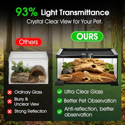 Reptile Terrarium Glass Kit 12" x 8" x 6" Starter Habitat for Tarantula, Succulents, Frogs, or Hermit Crabs, Tank with Escape-Proof Locking Lid - size: 2 gallon