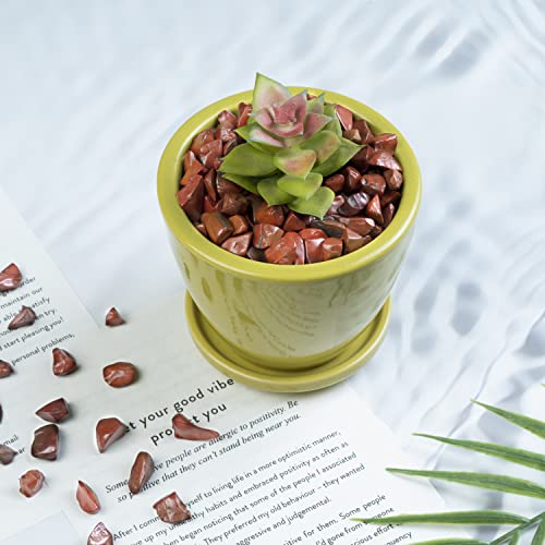 Crocon 1 LB Crushed Red Jasper Chips Bulk Stones 2000+ Carats Natural Quartz Pieces Irregular Shape Gemstones for House Warming Gifts New Home and Chakra Healing Crystals Home Decor Gifts for Women - color: Red Jasper Chips, size: 1 Pound