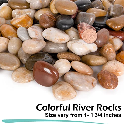 GASPRO 8-lb Natural River Rocks for Landscaping, Decorative Rocks for Potted Plants and Aquariums, Polished River Stones for Indoor & Outdoor Decor, 1 to 1 3/4 Inches - size: 8lb