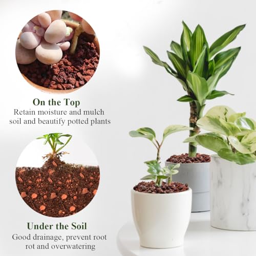 FANTIAN 2 lbs Red Lava Rocks for Plants,1/4 Inch Crush Volcanic Rock Gravel Potting Mix for Succulent Cactus Bonsai Aquarium Fire Pits and Garden Landscaping - color: Red Lava Rocks
