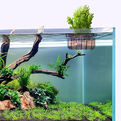 4 Pcs Aquarium Plant Holder,Hanging Fish Tank Plant Pot Aquarium Planter Cups,Suitable for Fish Tank Scene Arrangement of a Variety of Plants Hydroponics