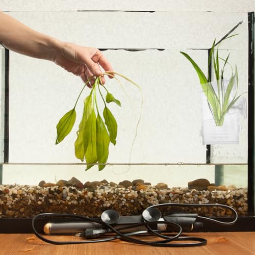 POPETPOP Aquarium Planting Cup 8.07X3.14X2.36In Clear Acrylic Fish Tank Plant Holder with Suction Cup for Aquatic Plant Growth Fish Shelter and Tank D Cor