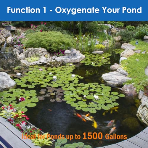 AquaMiracle All-in-One Koi Pond Aerator for Outdoor Ponds up to 1500 Gallons, Pond Air Pump Pond Aeration System with 2-Outlet Manifold Airline Tubing Air Stones Check Valves - size: Up to 1500 Gallon
