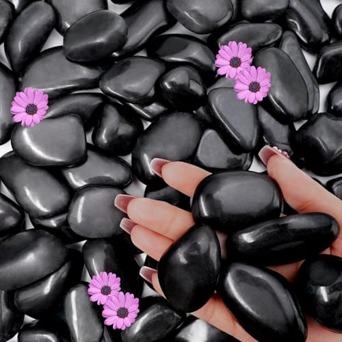 NUPICK 45lb Black River Rocks for Outdoor Landscaping, 1-2 Inch Pebbles for Indoor Plants, Natural Polished Aquarium Gravel, Decorative Rocks for Succulent, Garden, Vases Fillers, Bird Baths - color: Black, size: 1-2"-45lb