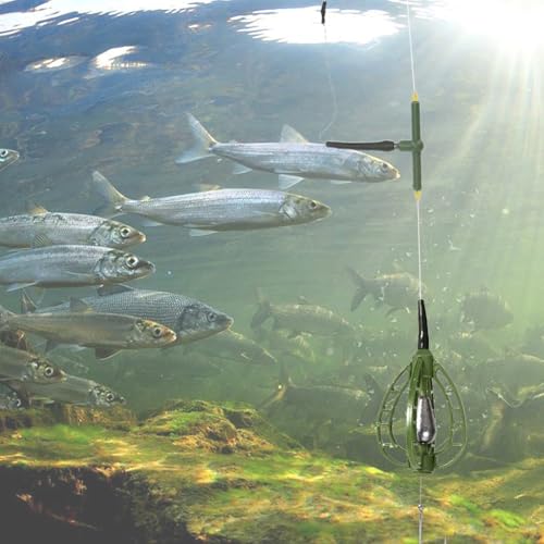 Carp Fishing Bait Cage Feeder with Wire Hook Rigs, Sturdy European Style Long Line Nesting Trap Device Inline Method Inserted Weight Quick Sinking Durable Angler Lure Equipment Tackle 2PCS - size: 48G