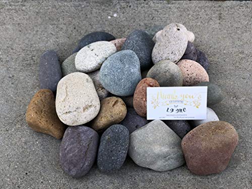 50 Lb. Premium Large Mixed Mexican Beach Pebbles 3-5 inches, Decor, Garden, Landscape, Pathways, Backyard, Rock Pebbles