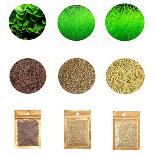 3 Pack Aquarium Plant S.e.e.d Set, not Artificial plasticl Plant. Real Grass Tank Decor Replacement for Resin or Plastic Grass N0：9527-12
