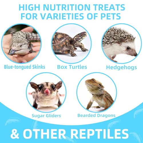 3.5 Oz Freeze Dried River Shrimp Turtle Food, Shrimp for Turtle, Nutrient Rich Treat for Reptiles, Sugar Gliders, Hedgehogs, Tropical Fish