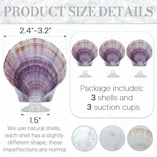 3PCS Betta Hammock Shells, Natural Small Fish Tank Decorations, Betta Fish Tank Accessories, Aquarium Decorations, Aquarium Hideout Habitat for Sleeping Resting Hiding Playing (Purple) - color: Purple