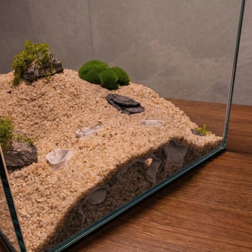 Aquarium Cave Triple-Entry Sea Grotto, 3D Print Fish Cave Aquarium Decor, for Viewing Shrimp, Betta Fish, Corydora, Catfish, Pleco (White) - color: White