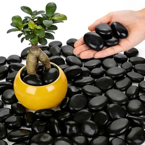 1-2 Inch Polished River Rocks, Decorative Stones for Indoor Plants, Vase Filler, Fish Tank & Aquarium, Garden Landscaping, Black, 12LB - color: Black, size: 12LB