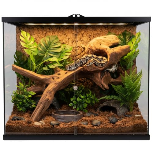 emours Porous Natural Driftwood for Aquarium, Aquascaping Driftwood with Holes, Hand-Selected Tunnels & Hideouts, Aquascaping Hardscape, Terrarium Reptile Décor, No Paint or Resin (16-20" (40-50 cm)) - size: 16-20" (40-50 cm)