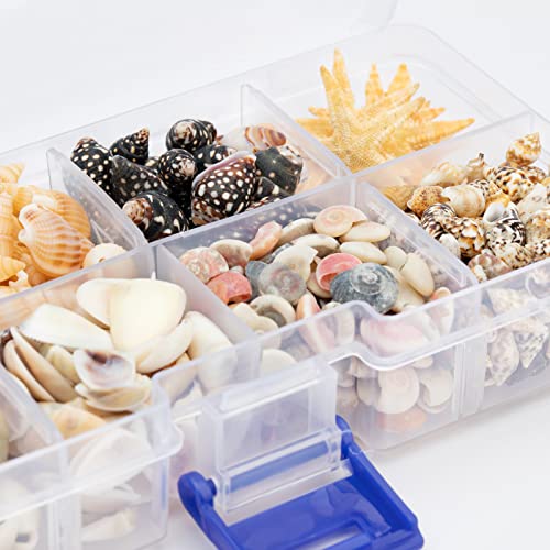 Premium Tiny Seashell Mix, Including Sea Shells, Sea Snails and Starfish total 300+PCS (8 Kinds), Shells for Crafts Decorating Resin and Mosaics Projects DIY Crafts Home Decor Beach Themed Party