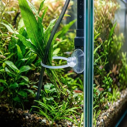 Fish Tank Accessories, 20Pcs 25mm Aquarium Suction Cups with Adjustable Cable Ties Clear Turtle Habitat Supplies Beta Fish Aquariums Accessories for Betta Tank Plants and Moss Fixing