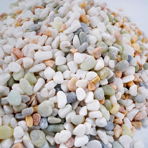 Mixed Color Decorative Rocks Stones Pebbles for Plants Garden Gravel White Rocks with Yellow, Green Pastel Accents Vase Filler Rocks Natural Stone Top Dressing for Potted Plants Succulents 2.2 lbs - color: Three Colors Rocks, size: 2.2 lb