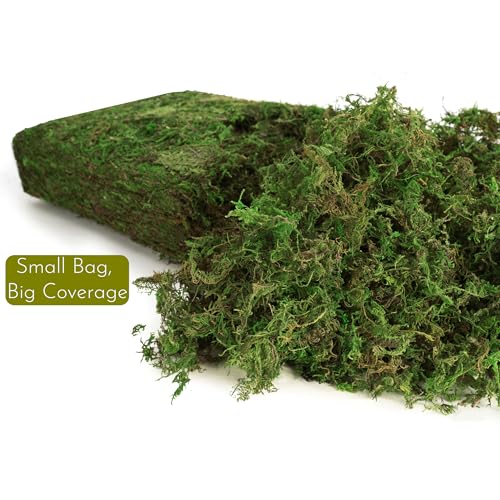 BYHER Fake Moss 4OZ - Moss for Crafts and Indoor Plants, Realistic Artificial Green Grass for Fairy Garden, DIY Projects, Potted Plants, Table Centerpieces, Wedding Decor (Realistic Green)