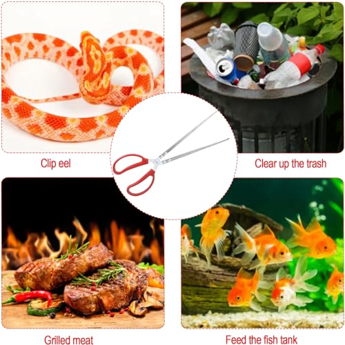 15 Inch Reptile Feeding Tongs, Extra Long Large Snake Feeding Tweezers, Curved or Straight Design Heavy Duty Stainless Steel Feeding Tongs for Ball Python Accessories Aquascape Maintenance