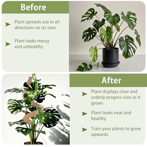 3 Pack Moss Pole, 48 Inch Monstera Plant Support, Moss Poles for Climbing Indoor Plants, Bendable Coco Coir Plant Support Stakes for Potted Plants, Pothos, Philodendron - size: 48 Inch - 3 Packs