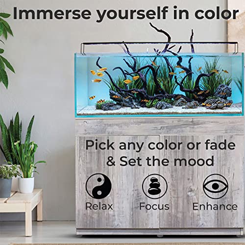 ColorCast Smart LED Aquarium Background Light Kit with Frosted Background Film | Smartphone and Voice Control | 24/7 Timers | Alexa and Google Home | for Aquariums, Terrariums and Vivariums | 18"-32" - size: 18" (18" to 32")