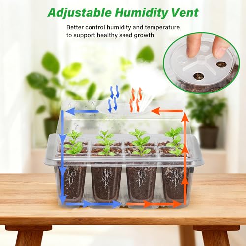 Bonviee 5-Pack Seed Starter Trays for Indoor Germination – Humidity Dome to Regulate Temperature & Humidity, Clear Tray for Root Observation, Drain Holes to Prevent Overwatering (5 Packs, Clear) - color: Clear, size: 5 Packs, NO light