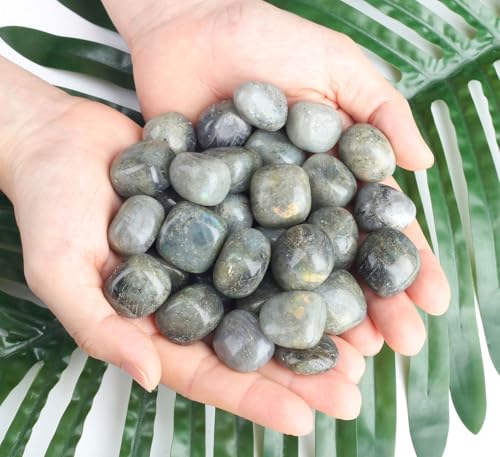 DUQGUHO Rainbow Moonstone Crystals Healing Crystal Stones Set Natural Crystals Bulk Irregular Stones 0.45 lbs - color: Rainbow Moonstone