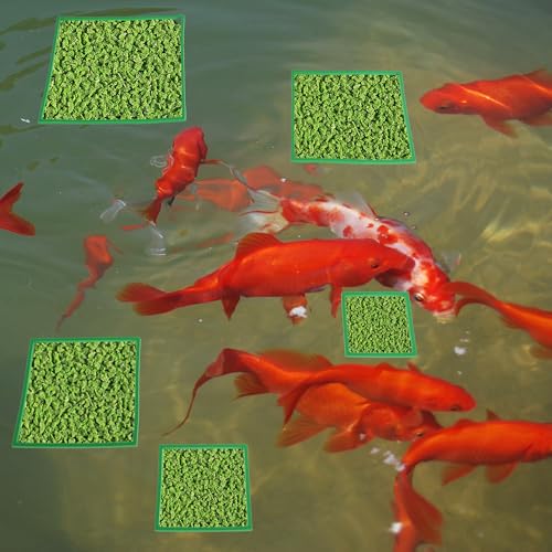 Fish Feeding Ring - Floating Plant Corral Set for Aquarium Accessories, 5pcs, Green - color: Green