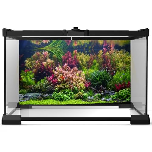 Aquarium Background Various Vivid Fresh Underwater Aquatic Plant Fish Tank Aquarium Backdrop Stone River Bed and Lake Fish Terrarium Background Decor Vinyl 24x12in - color: Purple Green, size: 24(W)x12(H)inches/ 60(W)*30cm(H)
