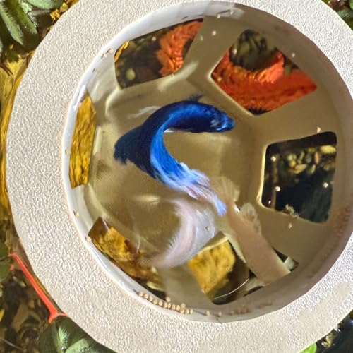 HOZOE Aquarium Betta Hammock, Betta Hideout & Cave, Floating Feeding Ring for Fish and Shrimp, Aquarium Floating Decoration Accessory (Wood Color) - color: Wood color