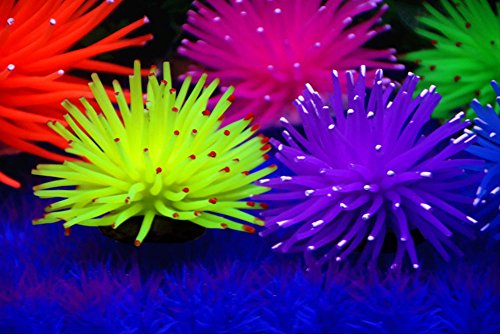 Cosmos Artificial Sea Anemone Ornaments Aquarium Fish Tank Decorations, 5 Pcs in Assorted Colors
