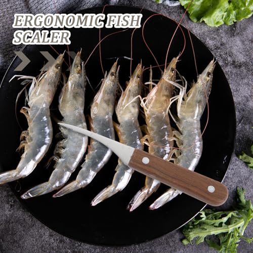 Garneck 4pcs Shrimp Peeler and Stainless Steel Fish Scaler Set with Serrated Edge, Ergonomic Seafood Deveiner Tool for Household Kitchen Cleaning and Fish Scale Removal Random Color