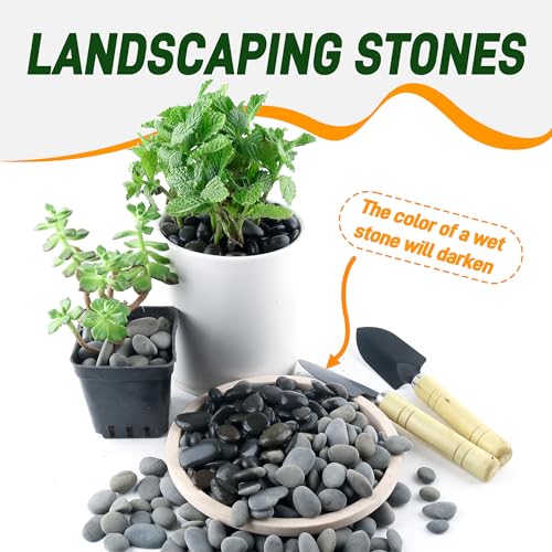 Quibbay 45 LB Mexican Beach Pebbles, 0.4-1 Inch Natural Unpolished Bulk Rocks, Decorative River Rocks for Landscaping Garden Paving Plant, Rocks for Walkways and Outdoor Decorative Stone, Grey - size: 45 Pounds, 0.4-1 Inch