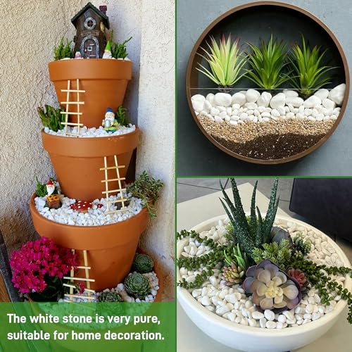 Mulctun 6Lb White Rocks for Plants, 1/4"-3/4" White Pebbles, Decorative Stones for Vases, Small Aquarium Gravel for Fish Tank Garden Rocks for Potted Plants & Home Decor - size: 6 LB