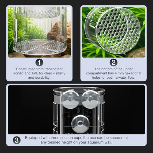 Floating Acrylic Breeder Box for Fish Tank - Aquarium Isolation Separator Hatchery Incubator for Guppy, Betta, Clownfish, Coral, Baby & Injured Fish - size: Medium