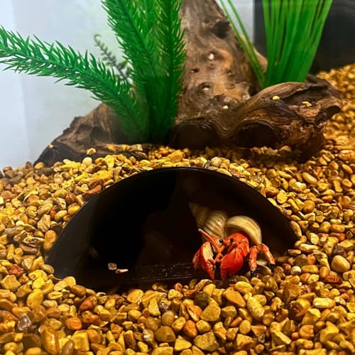 REEFSHAPE Aquarium or Terrarium Pocket Cave | Minimalist Shelter Cave for Fish, Shrimp, Reptiles, Amphibians, & More! | Made in USA (Pocket Cave, Black)
