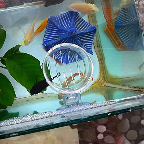 WEAVERBIRD Aquarium Glass Cone Feeder Red Worm Fish Tank Plant Shrimp Feeder Fish Feeding Cup